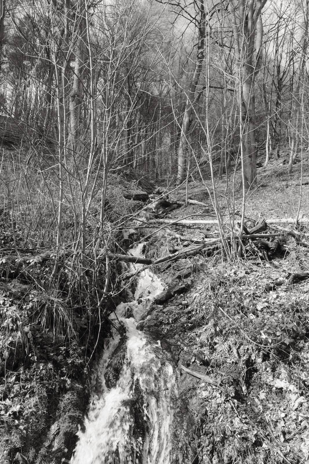 Acroscape film recipe sample photo