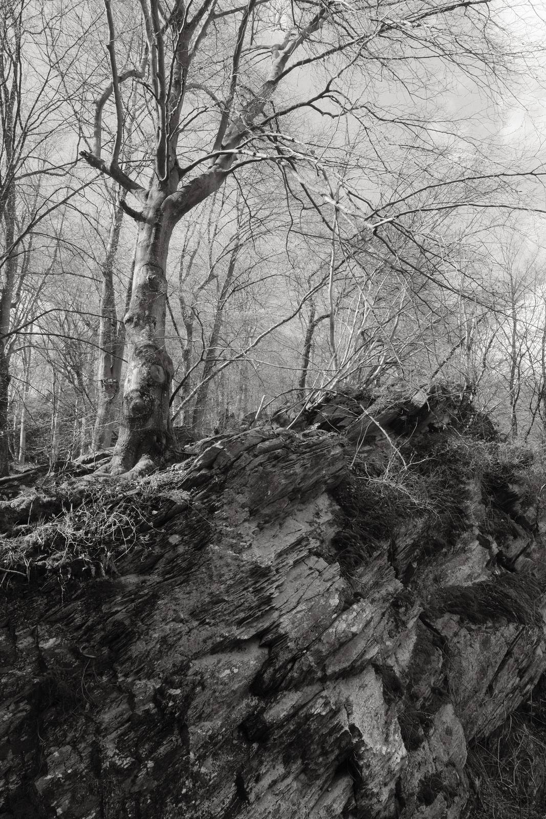 Acroscape film recipe sample photo