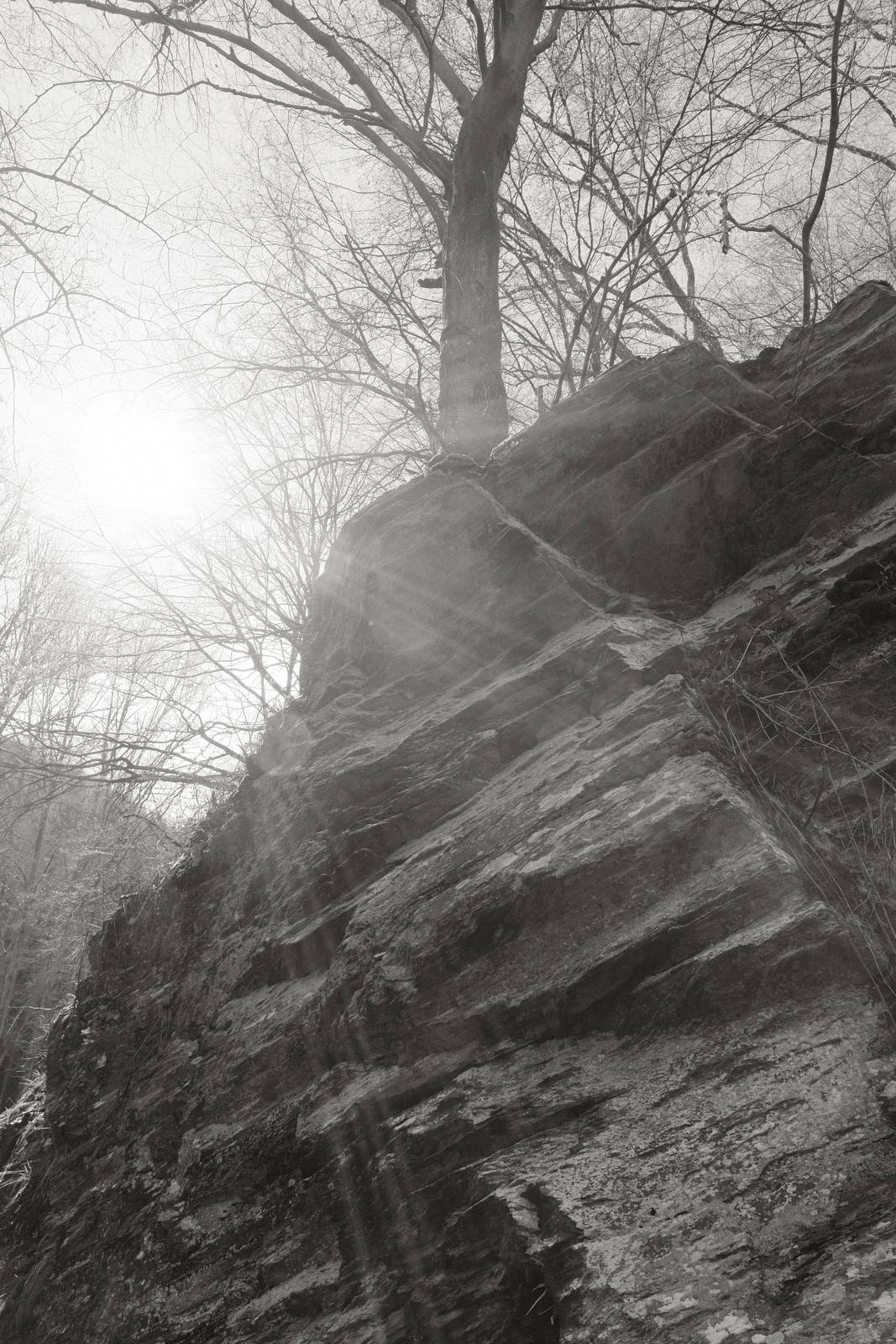 Acroscape film recipe sample photo