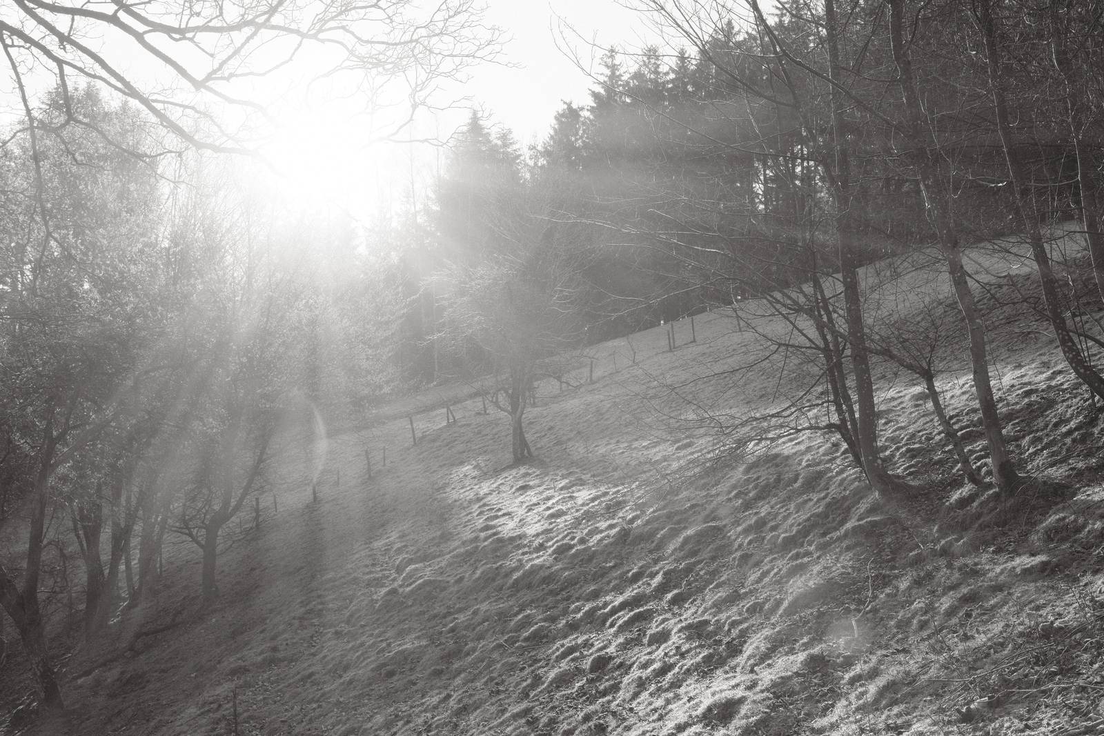 Acroscape film recipe sample photo