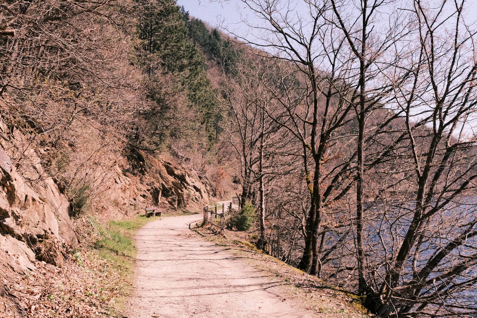 Olympus Trip 35 film recipe sample photo