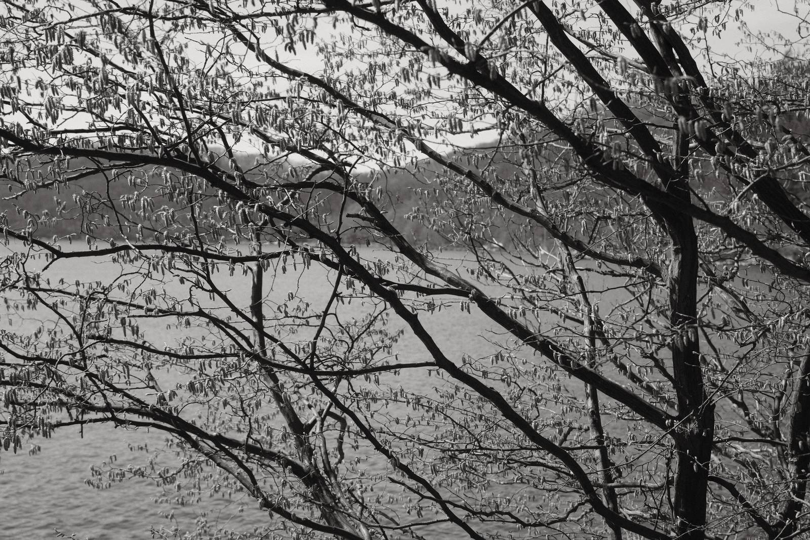 Acroscape film recipe sample photo