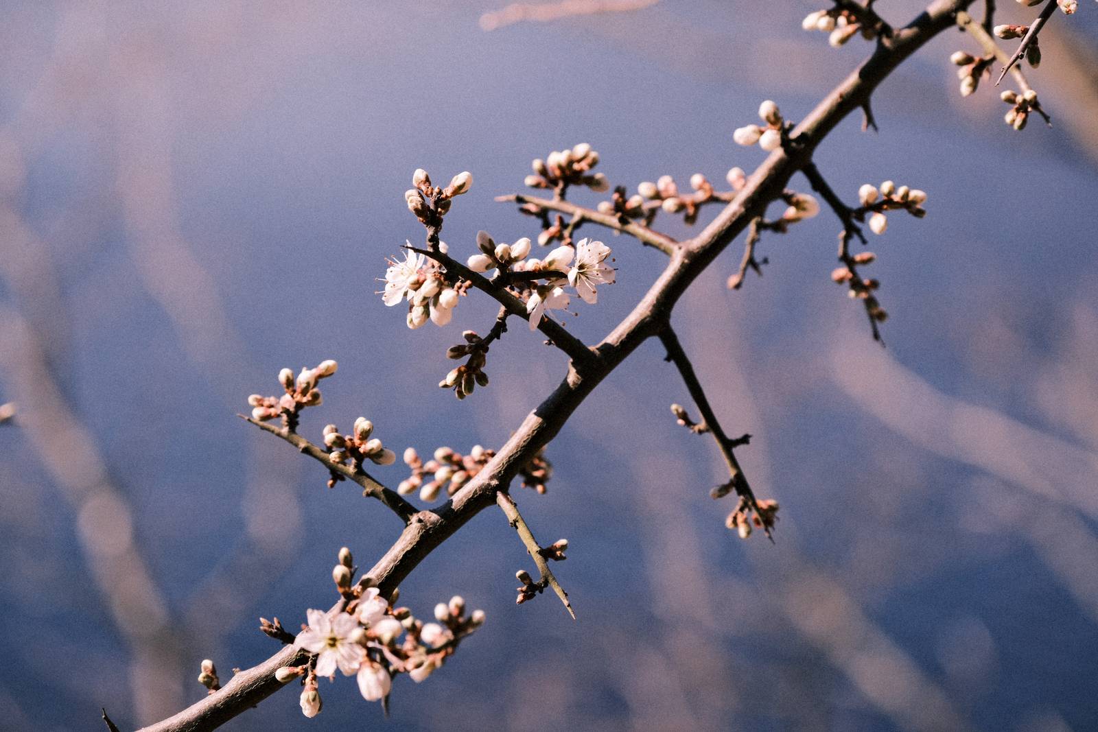 Olympus Trip 35 film recipe sample photo