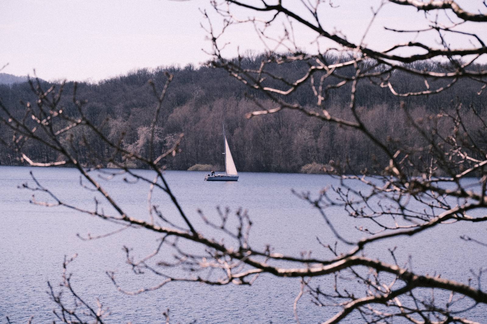 Olympus Trip 35 film recipe sample photo