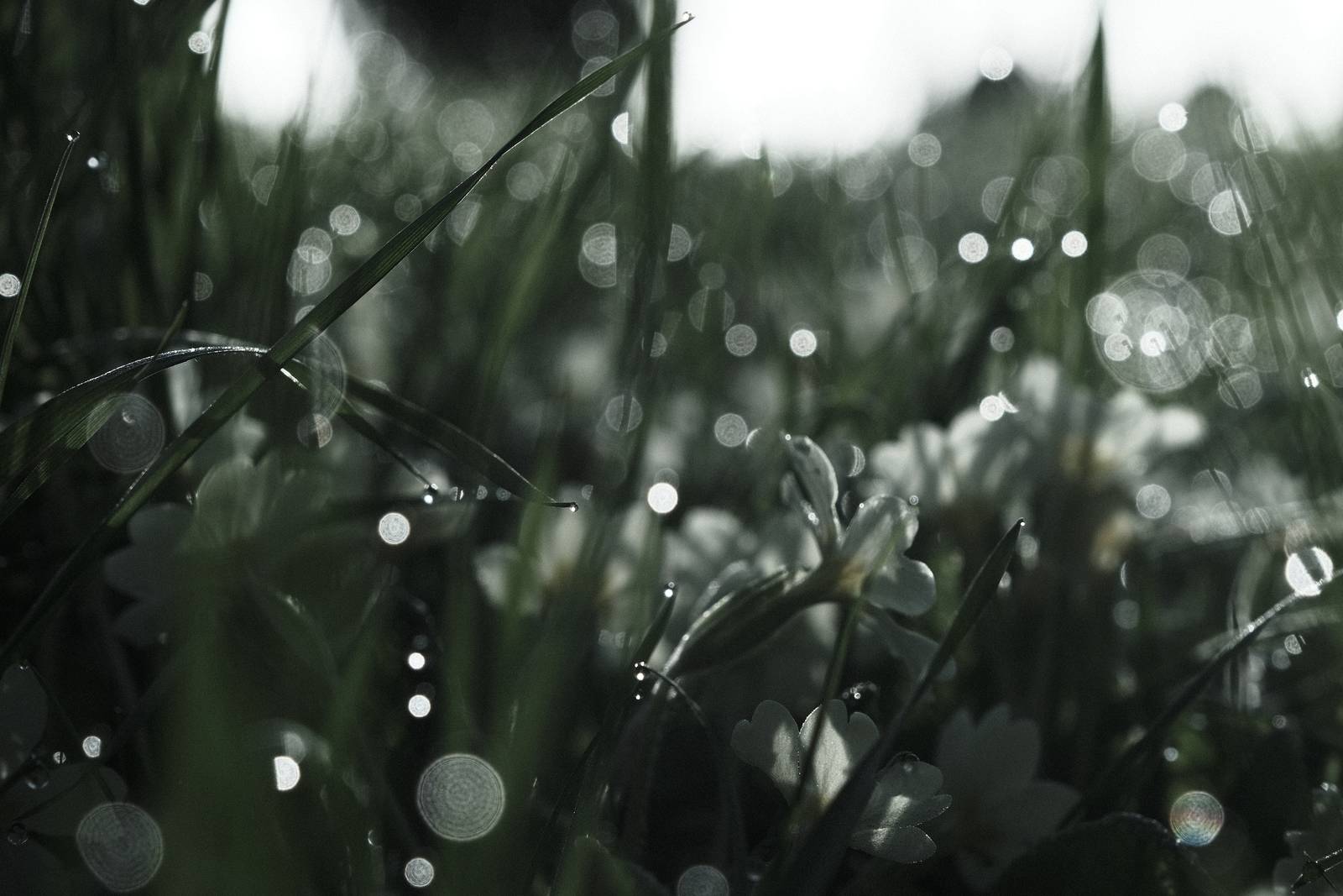 Inky Depths film recipe sample photo