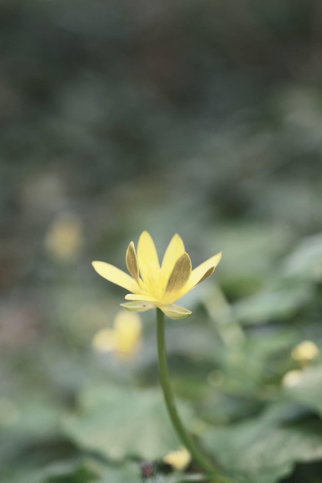 Ebb and Flow film recipe sample photo
