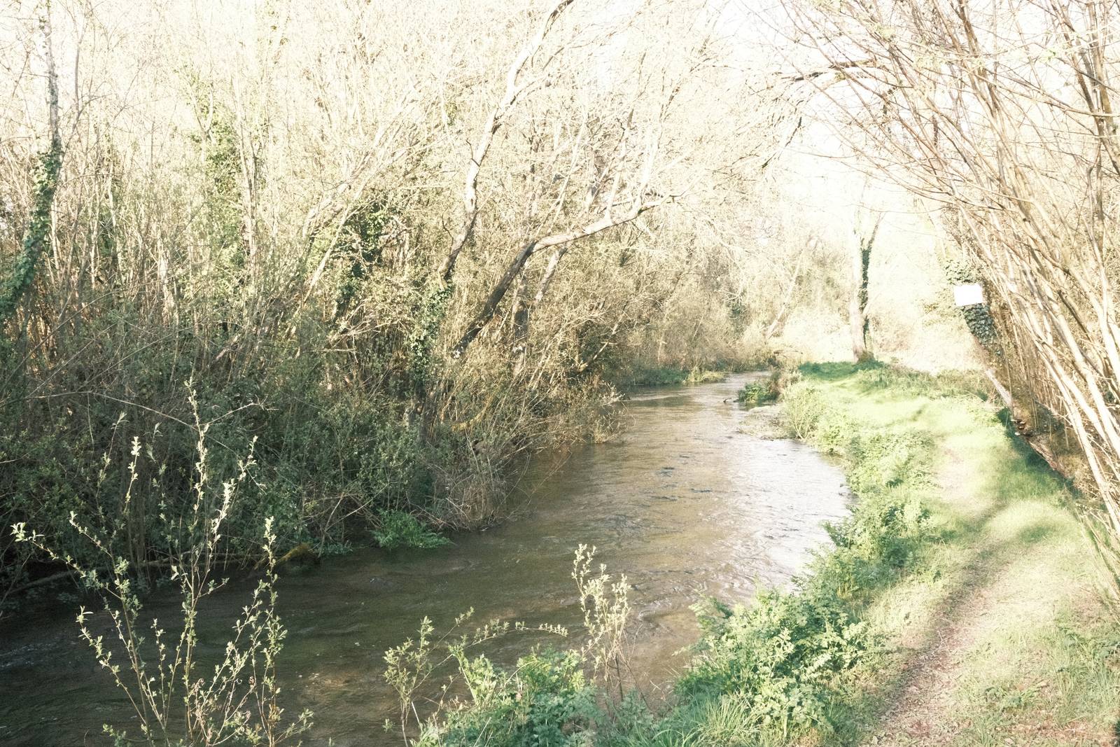 Childhood Vacation film recipe sample photo