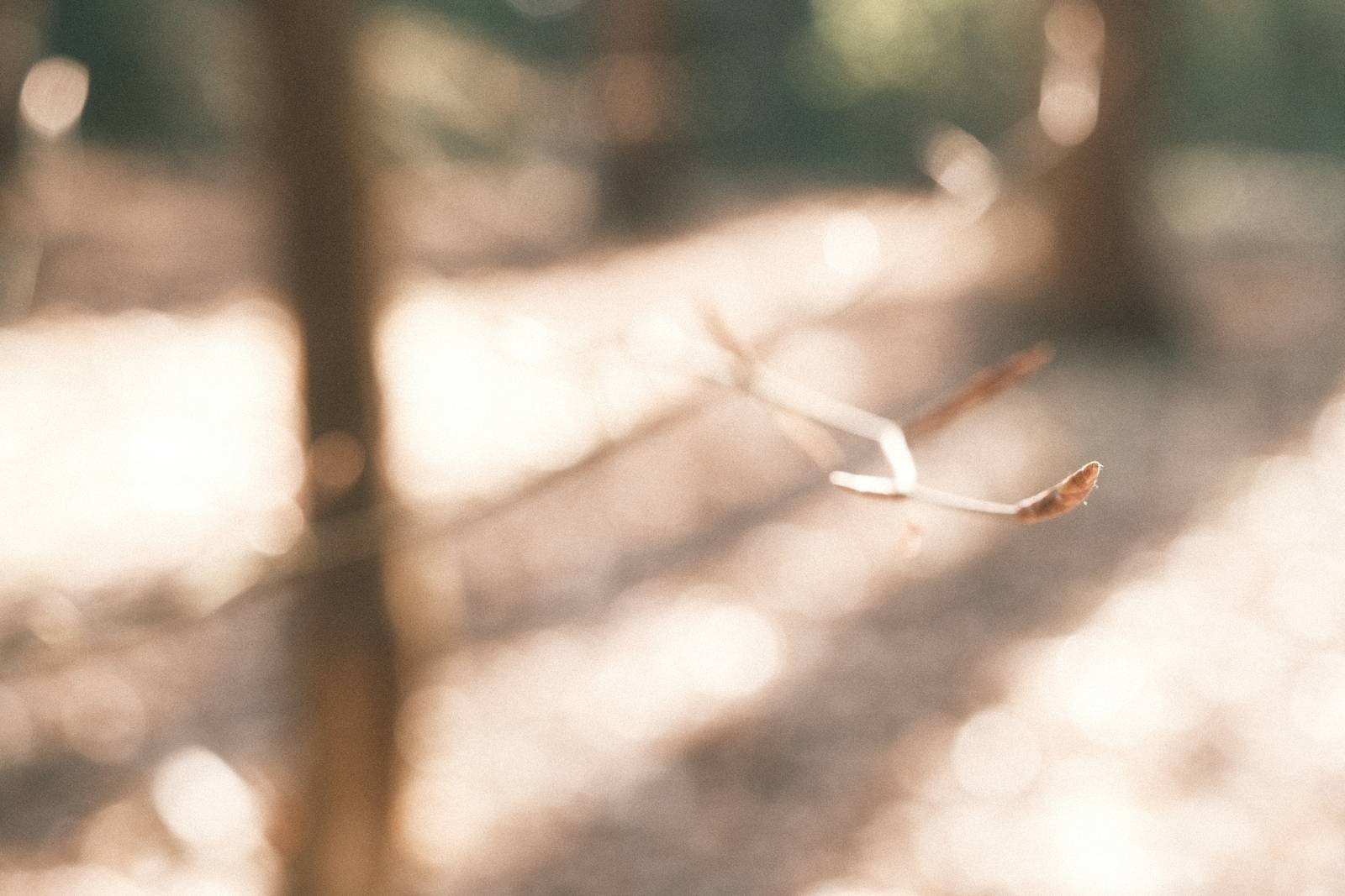 Childhood Vacation film recipe sample photo