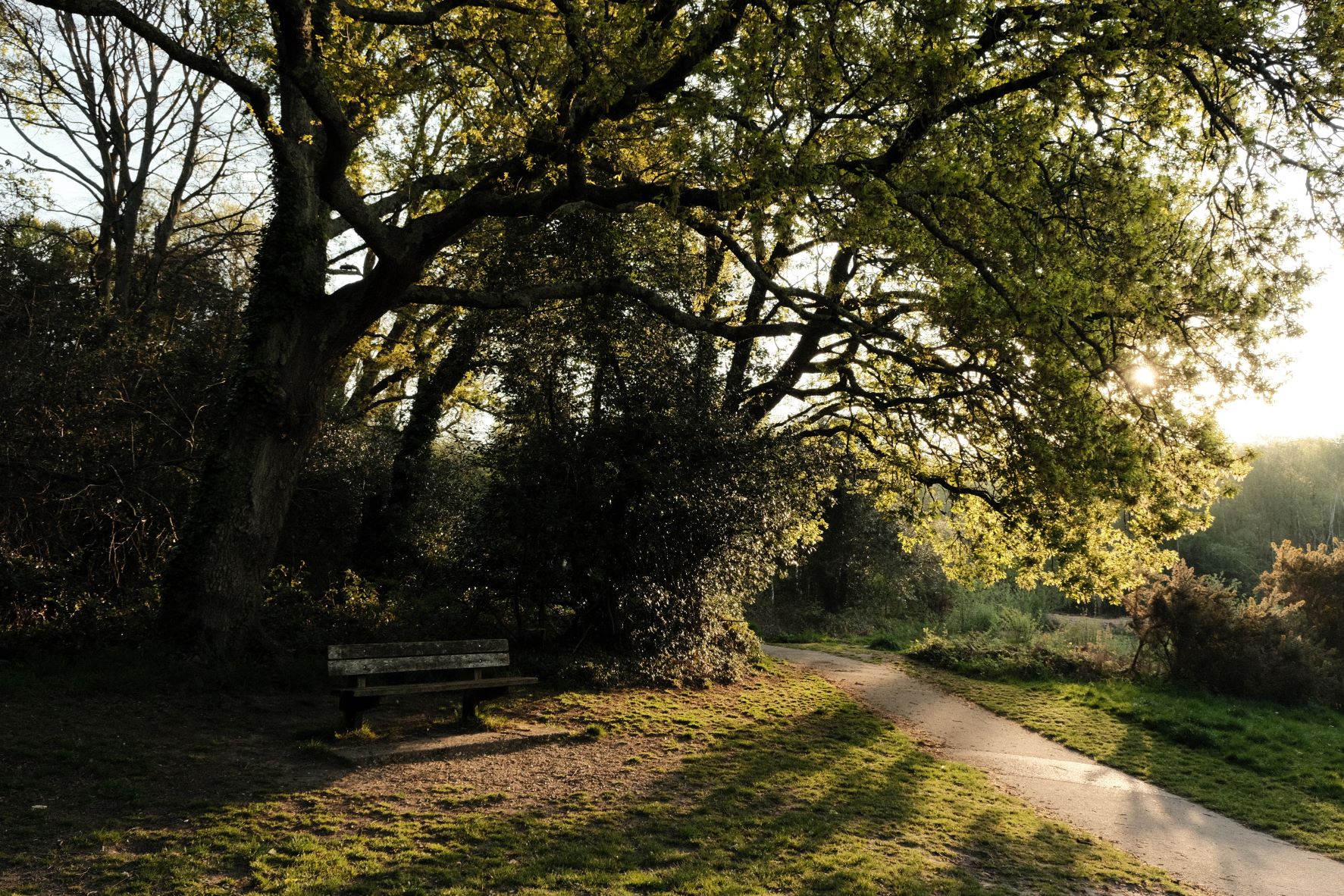 Kodak Gold film recipe sample photo