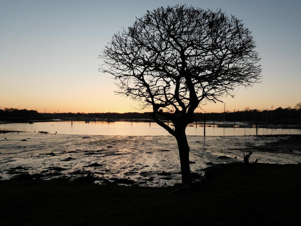 Rescued Colorplus, from a found Kodak&nbsp;film