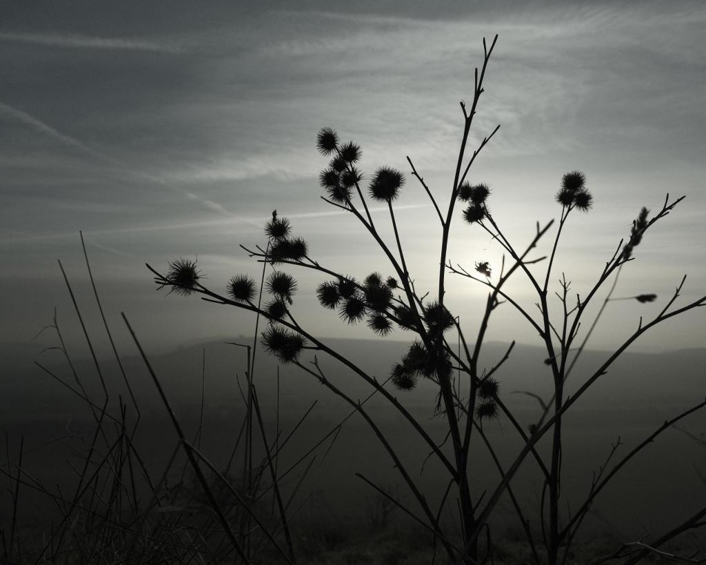 Titanium, Muted with a Metallic&nbsp;Tone