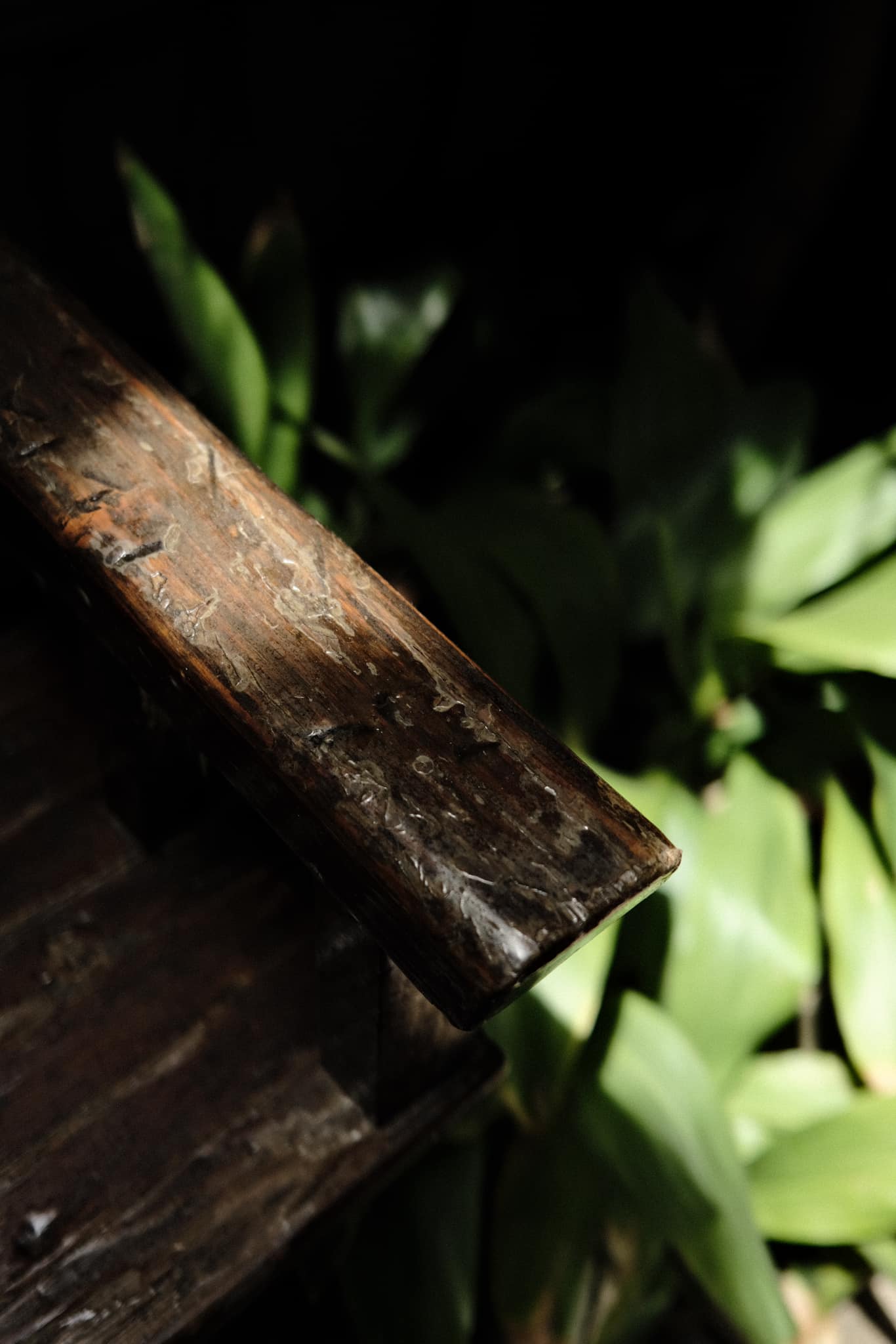 Junichiro film recipe sample photo