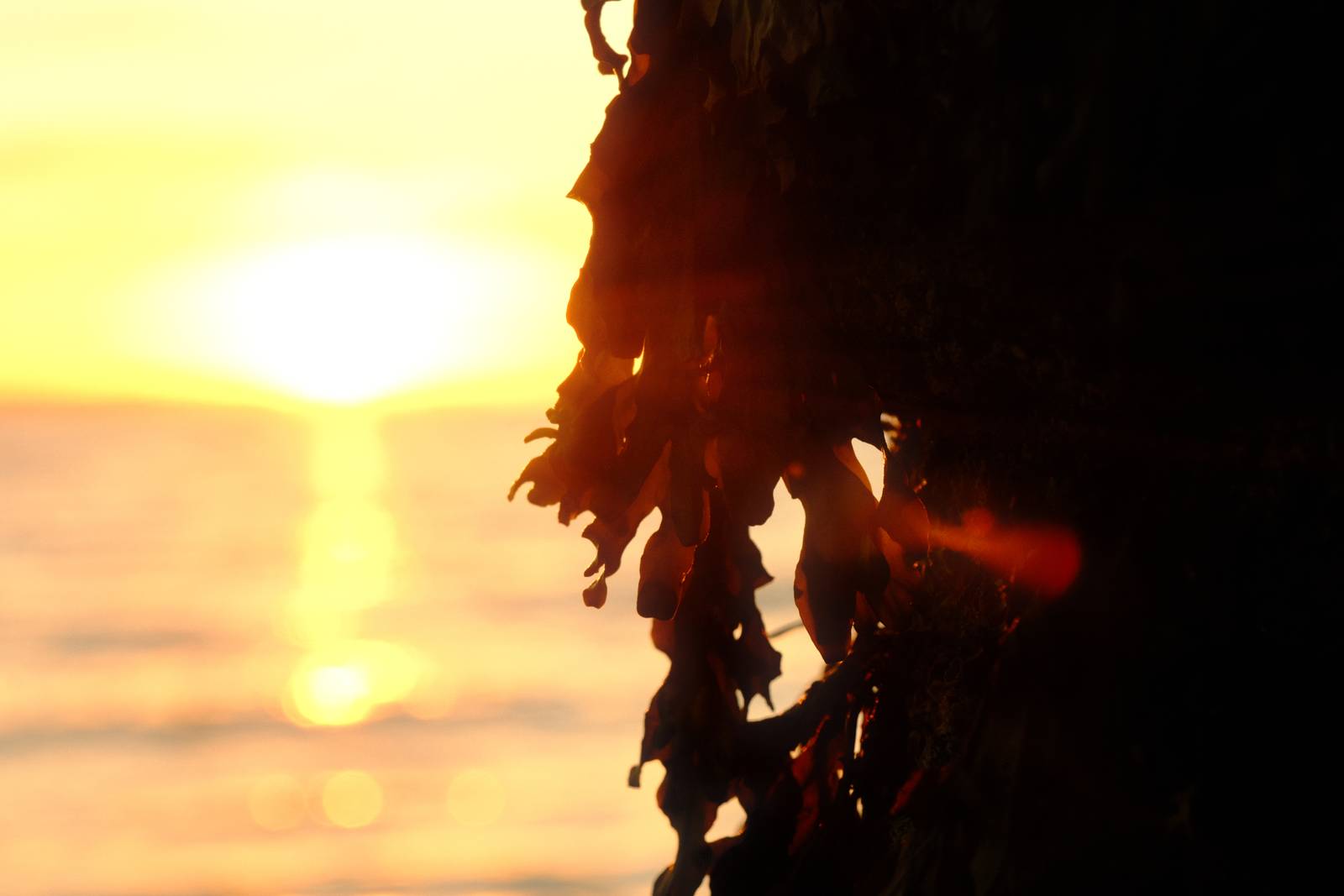 Spanish Summer film recipe sample photo