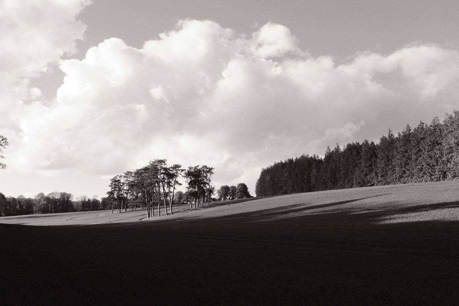 Monographic film recipe sample photo
