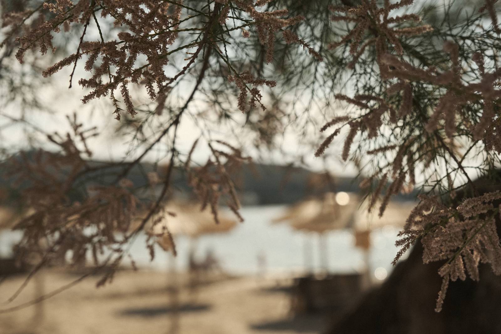 Mallorca Mellow film recipe sample photo