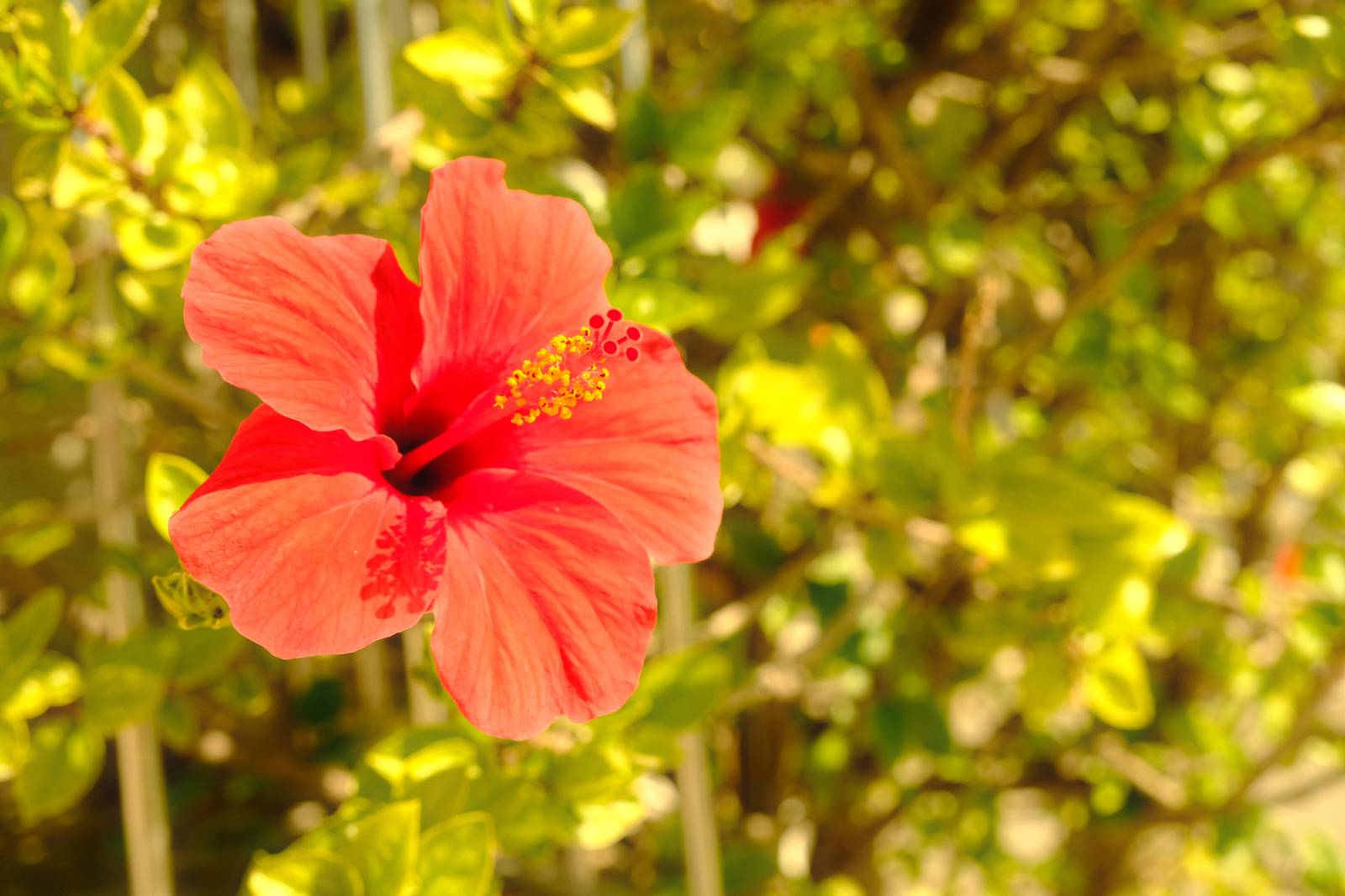 Spanish Summer film recipe sample photo