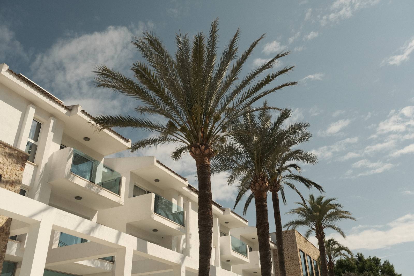 Mallorca Mellow film recipe sample photo