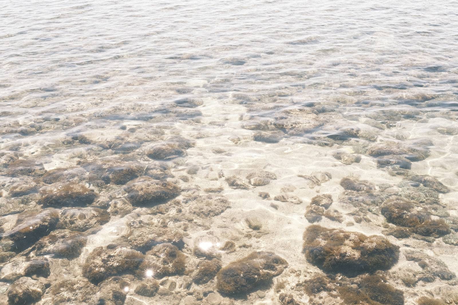 Childhood Vacation film recipe sample photo