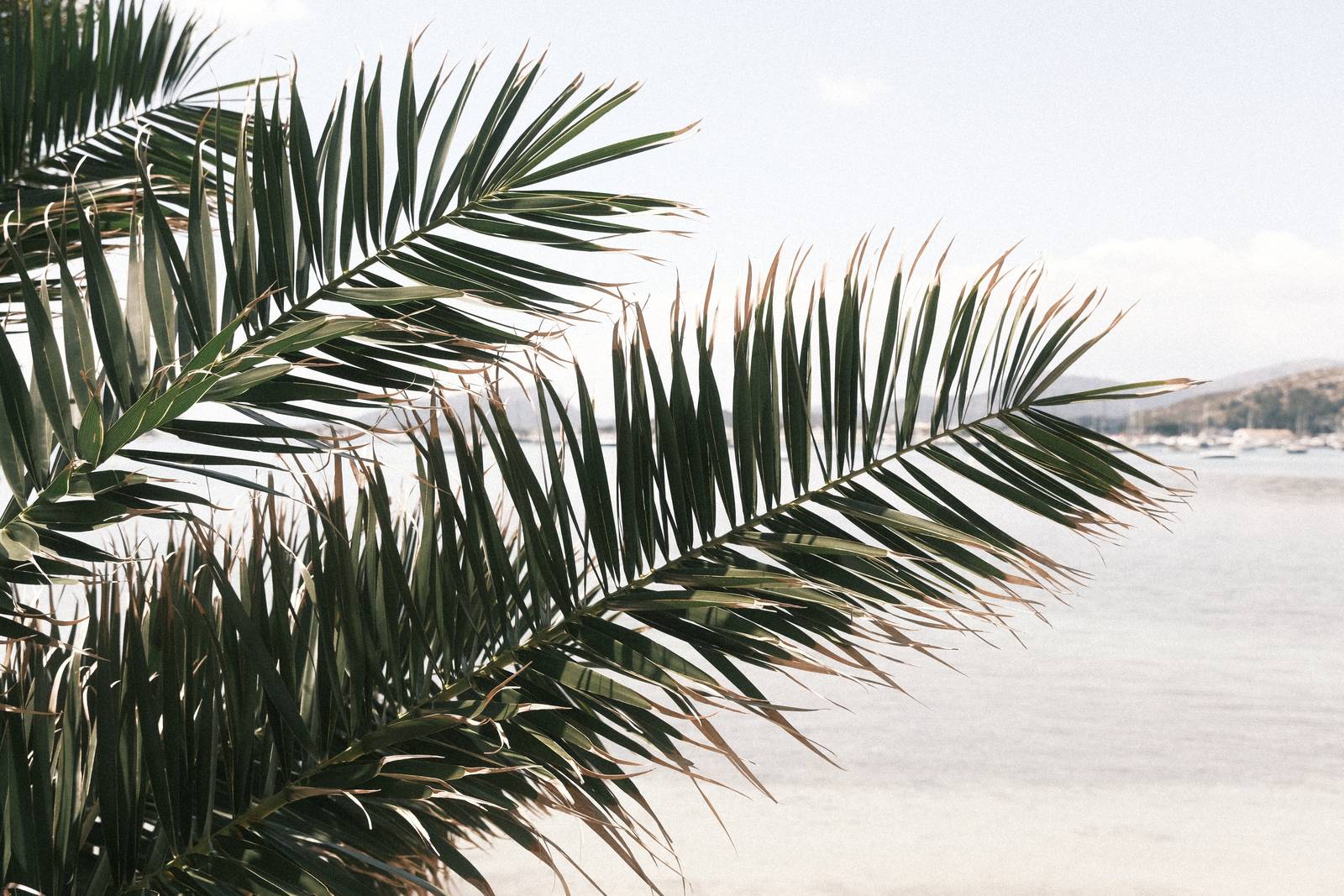 Childhood Vacation film recipe sample photo