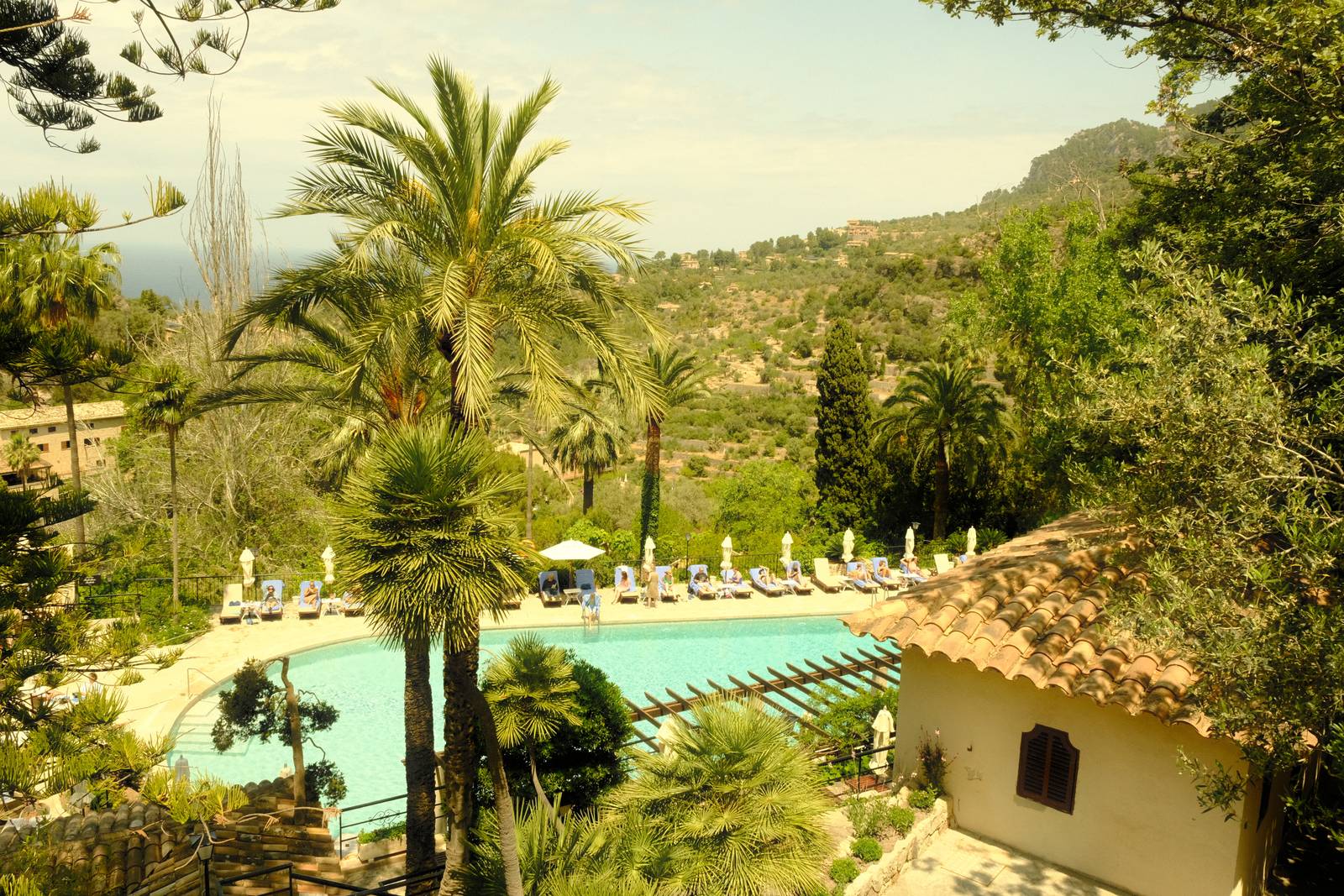 Spanish Summer film recipe sample photo