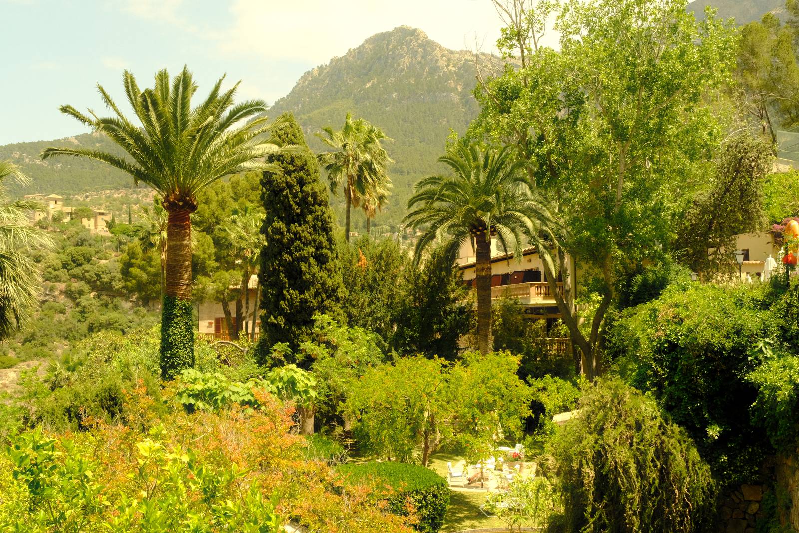 Spanish Summer film recipe sample photo