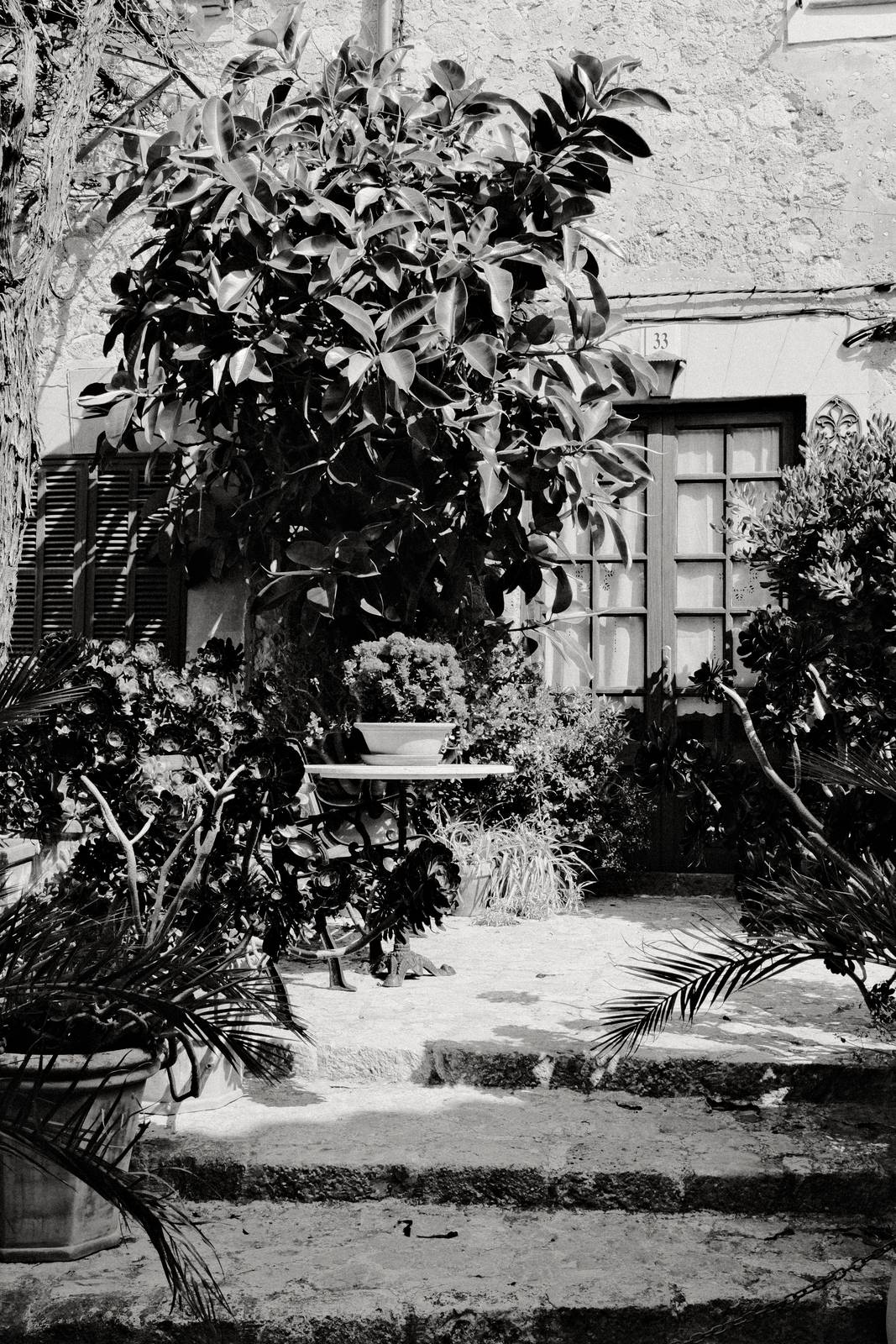 Daido Moriyama film recipe sample photo
