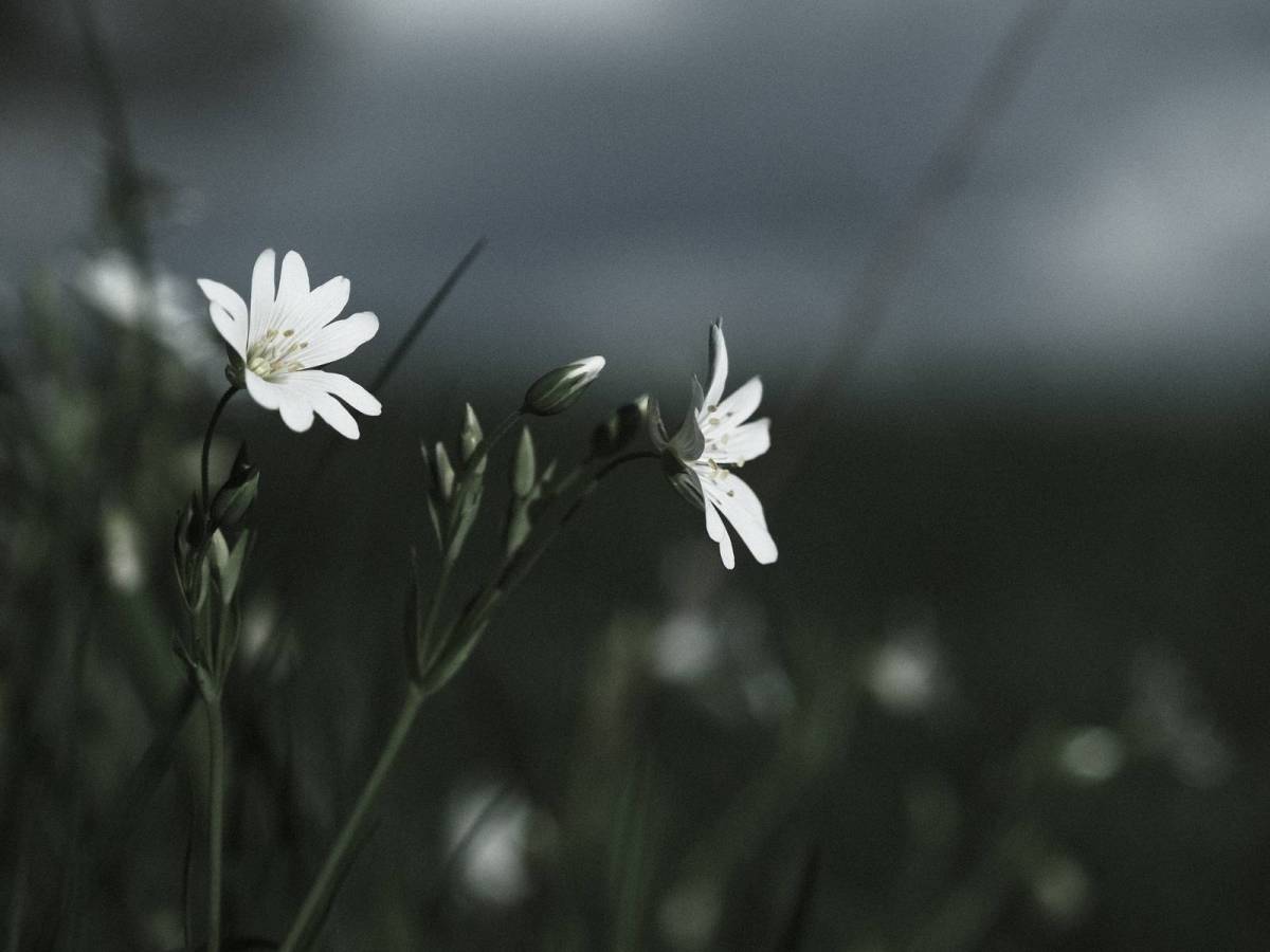 Inky Depths, Luxurious, Deep and&nbsp;Cool