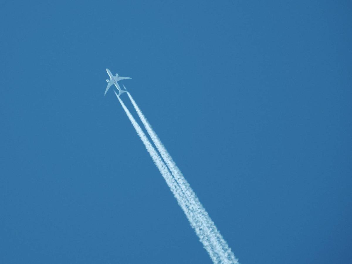 Waystar, with Billionaire&nbsp;Blues