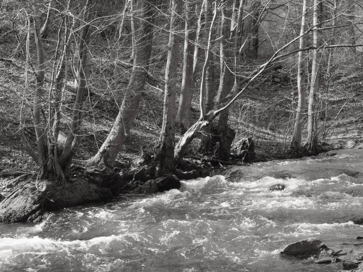 Acroscape, Landscape Acros&nbsp;Recipe