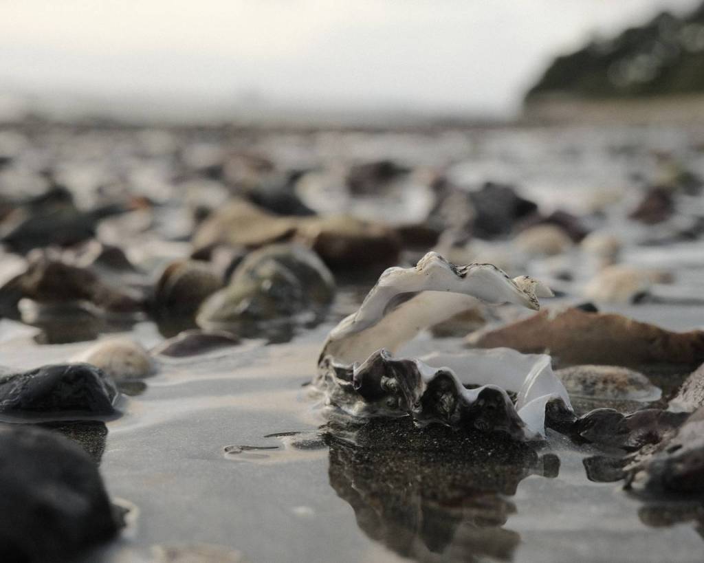 Coastal Calm, Soft Tones on the&nbsp;Shore