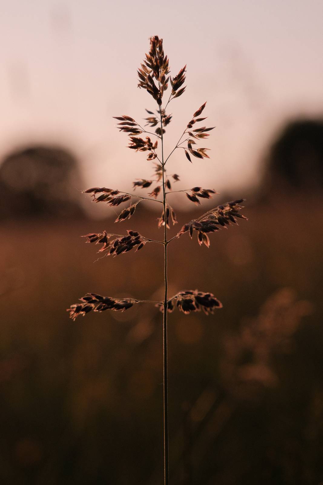 Seventies Summer film recipe sample photo