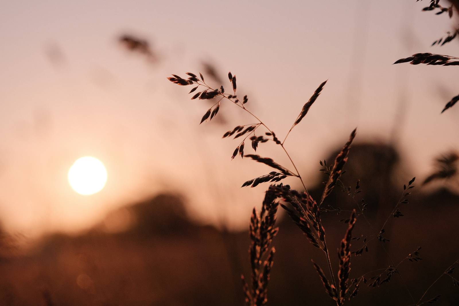 Seventies Summer film recipe sample photo