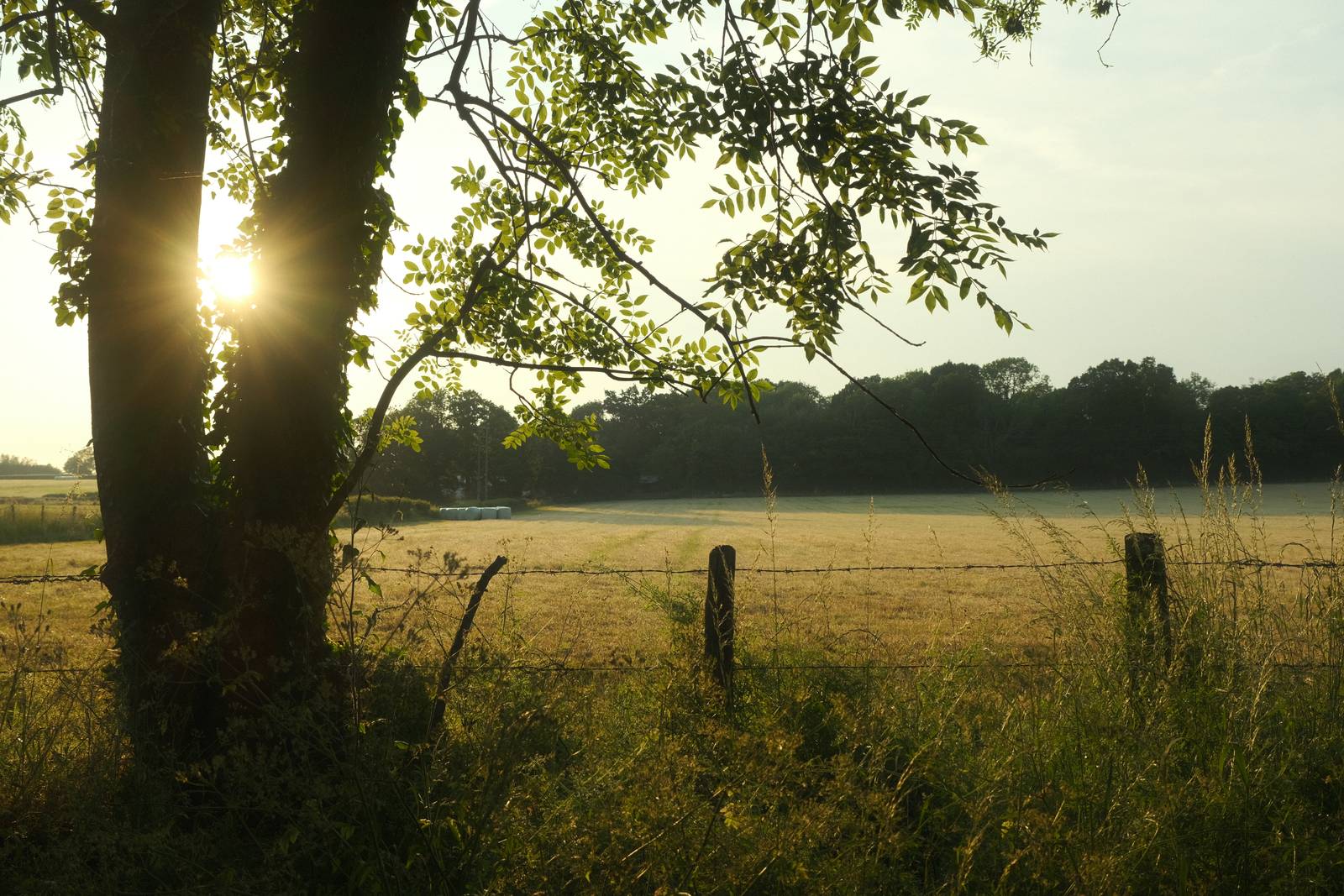 Summer Story film recipe sample photo