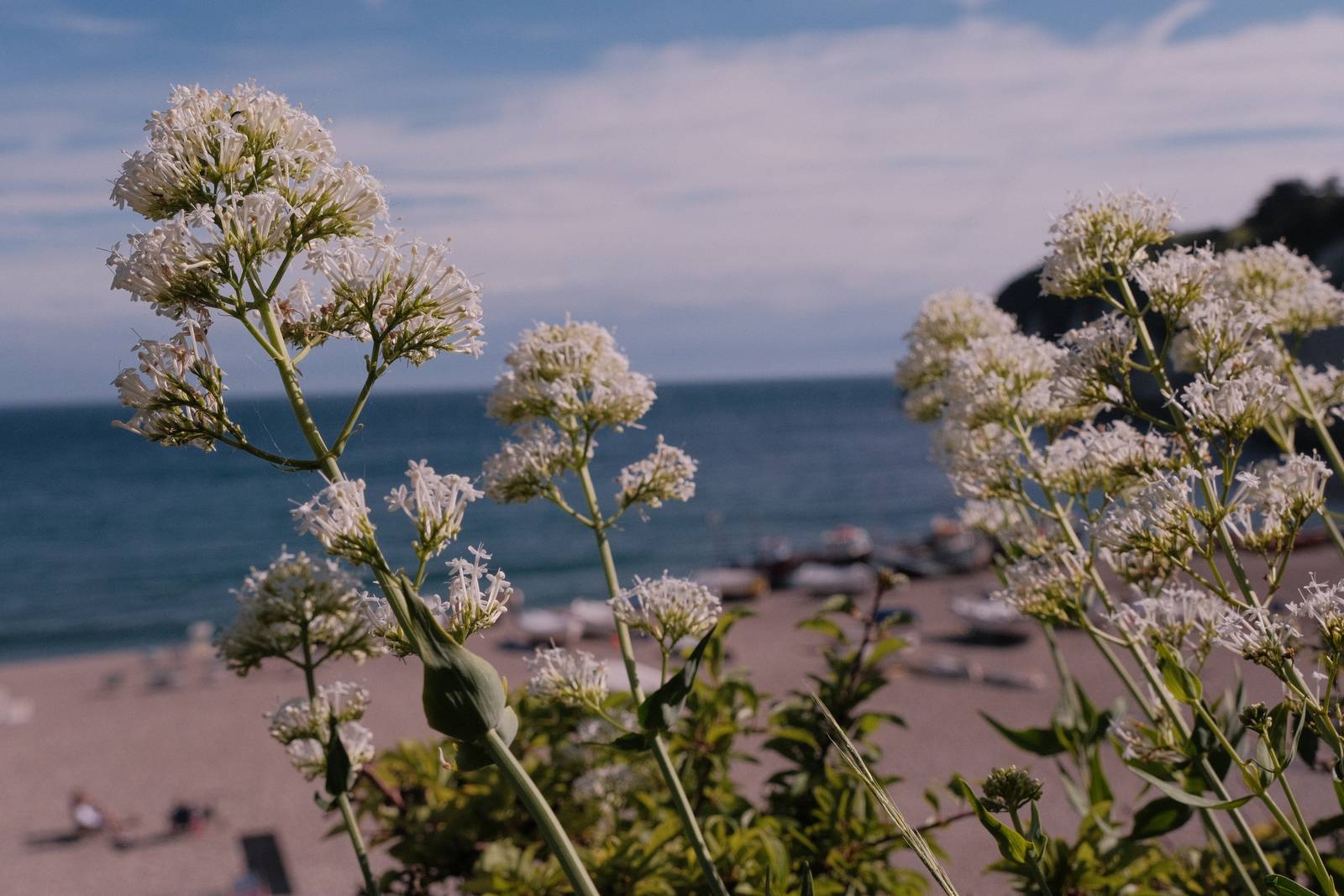 Seventies Summer film recipe sample photo