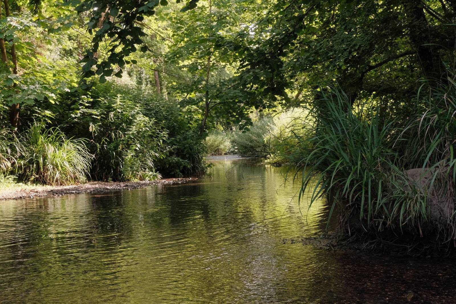Seventies Summer film recipe sample photo