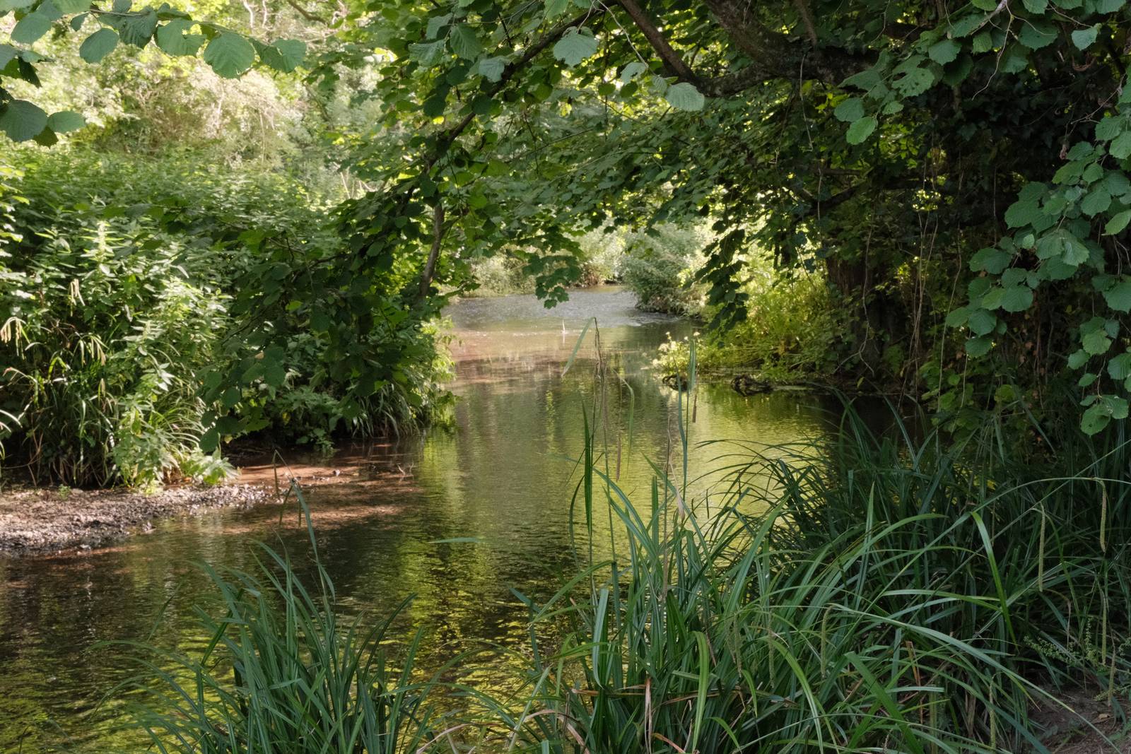 Seventies Summer film recipe sample photo