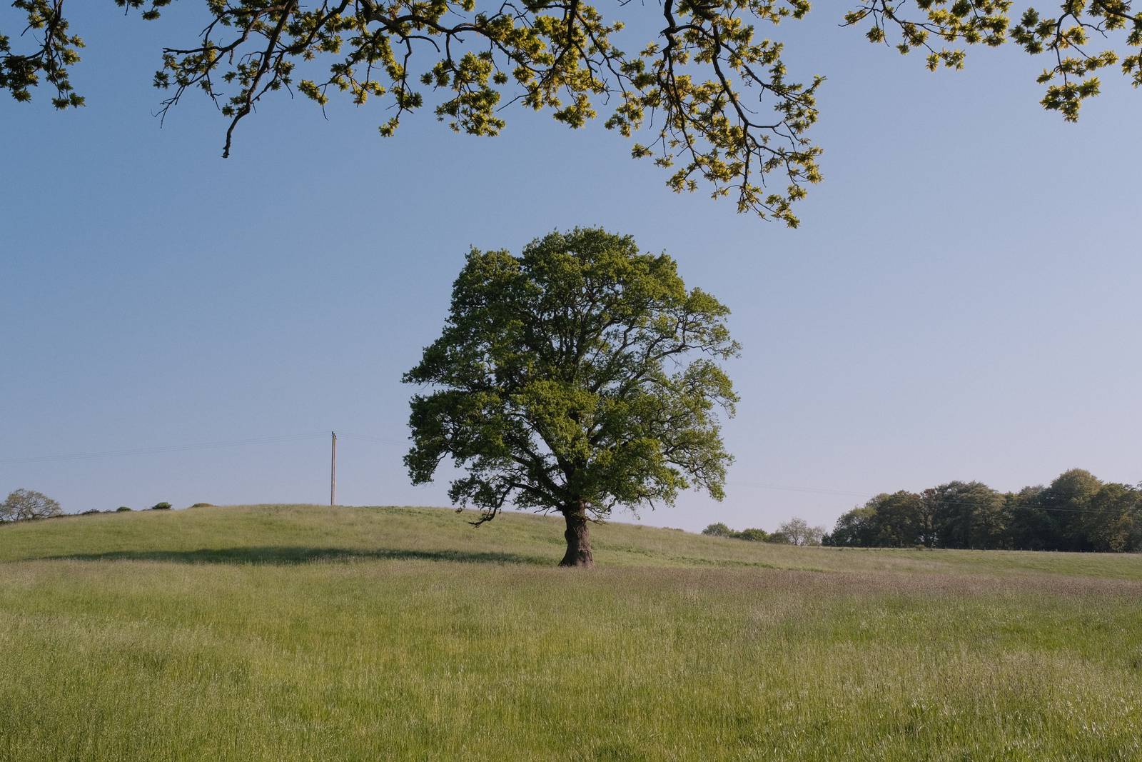 Seventies Summer film recipe sample photo