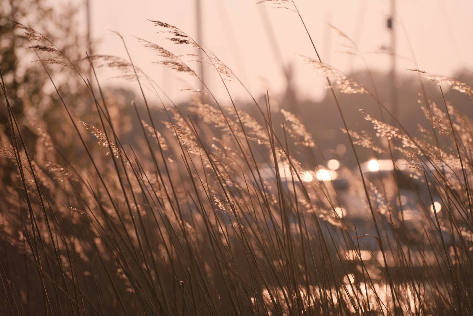 Seventies Summer film recipe sample photo
