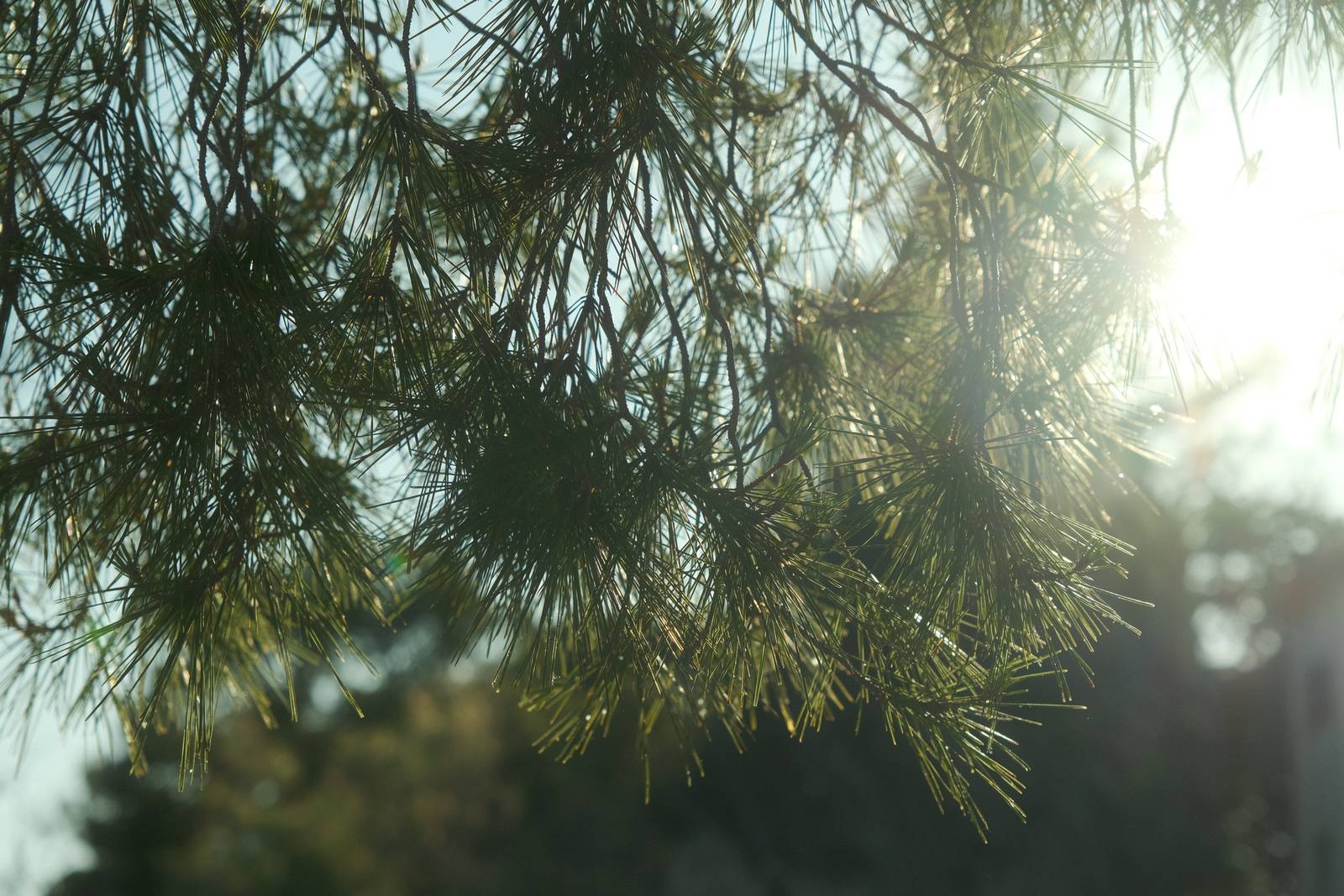 Summer Story film recipe sample photo