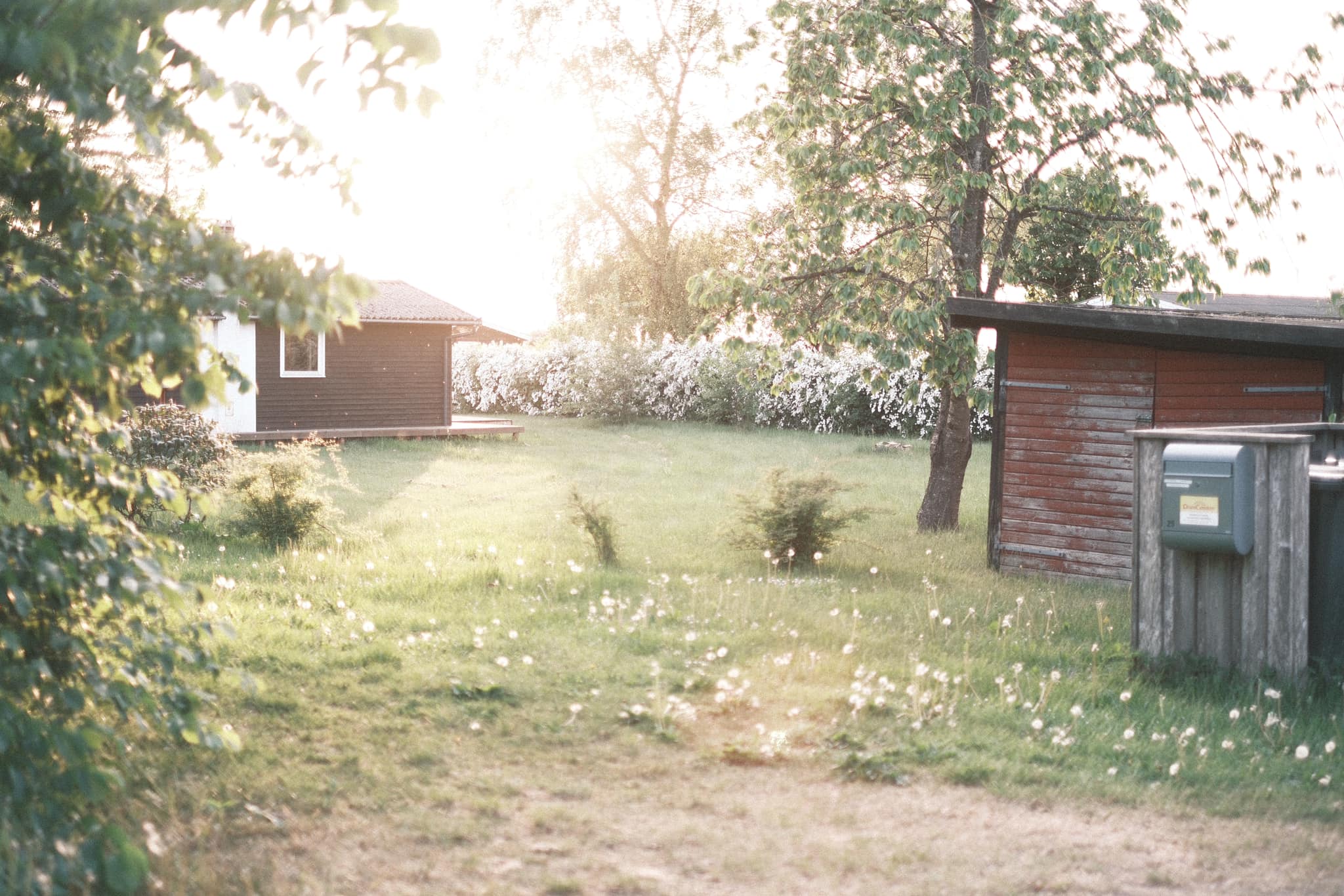Childhood Vacation film recipe photo by Sabrina Magnusson
