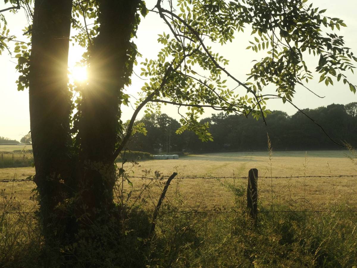 Summer Story, Filmic Tone for Sunny&nbsp;Days
