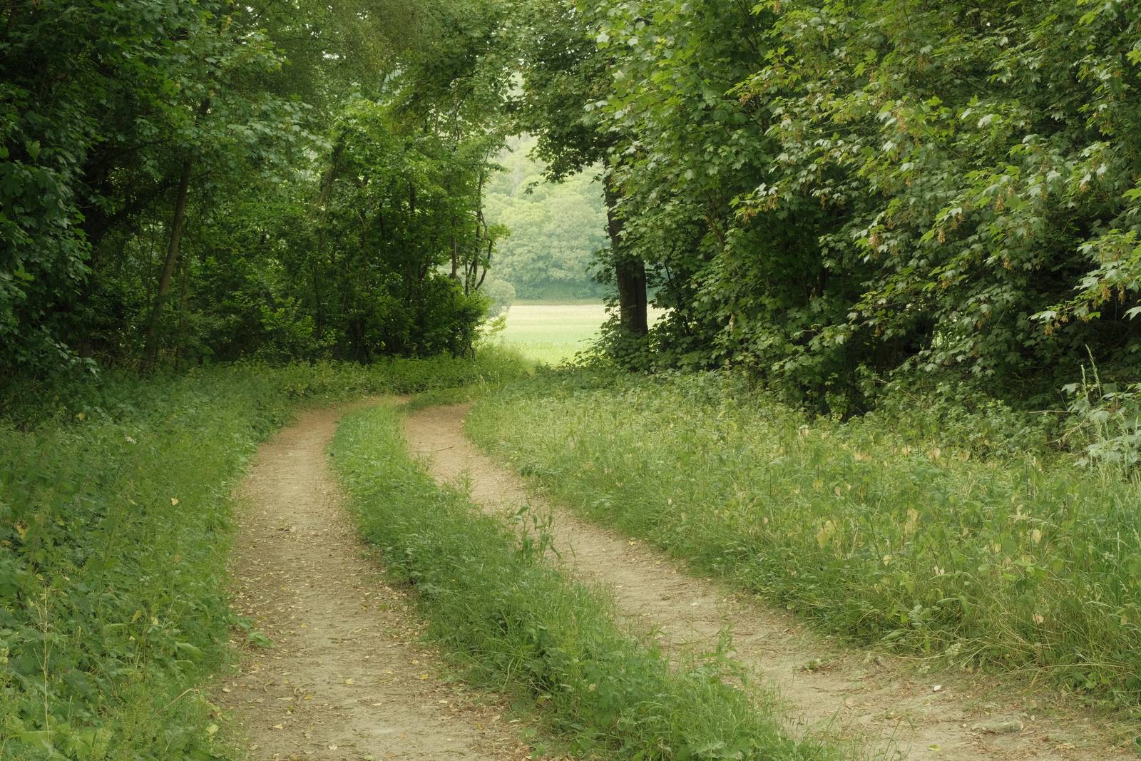 Expired 400 Film film recipe sample photo