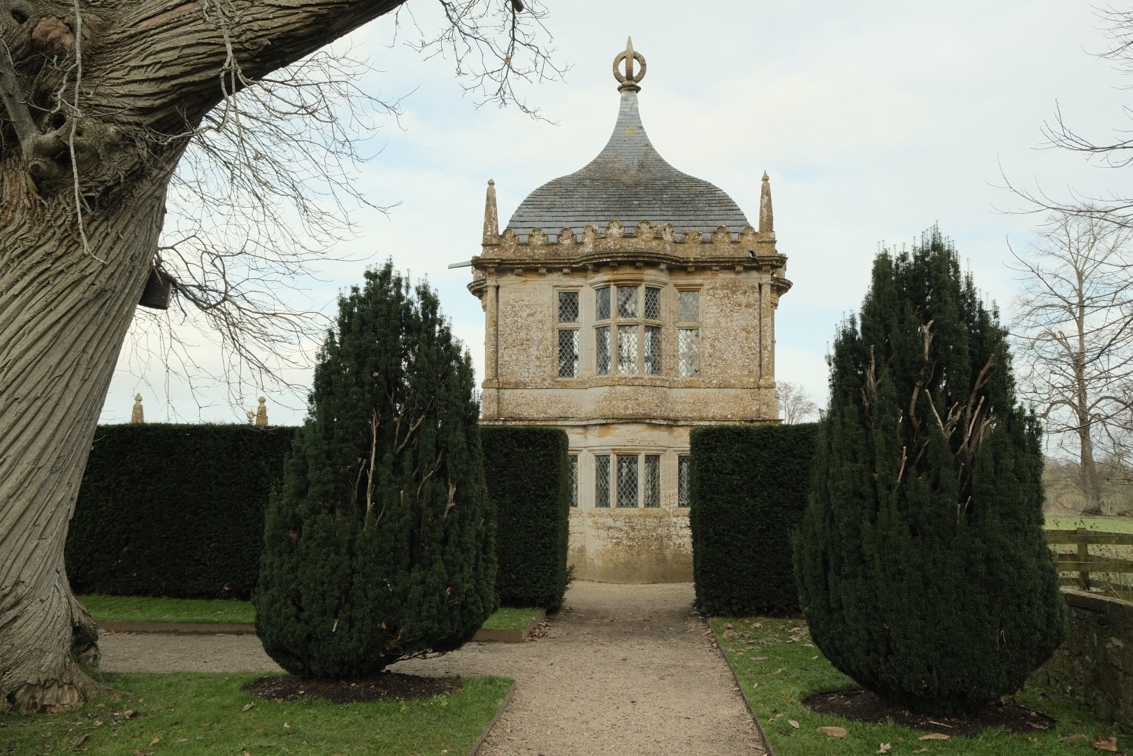 Cotswold Standard film recipe sample photo