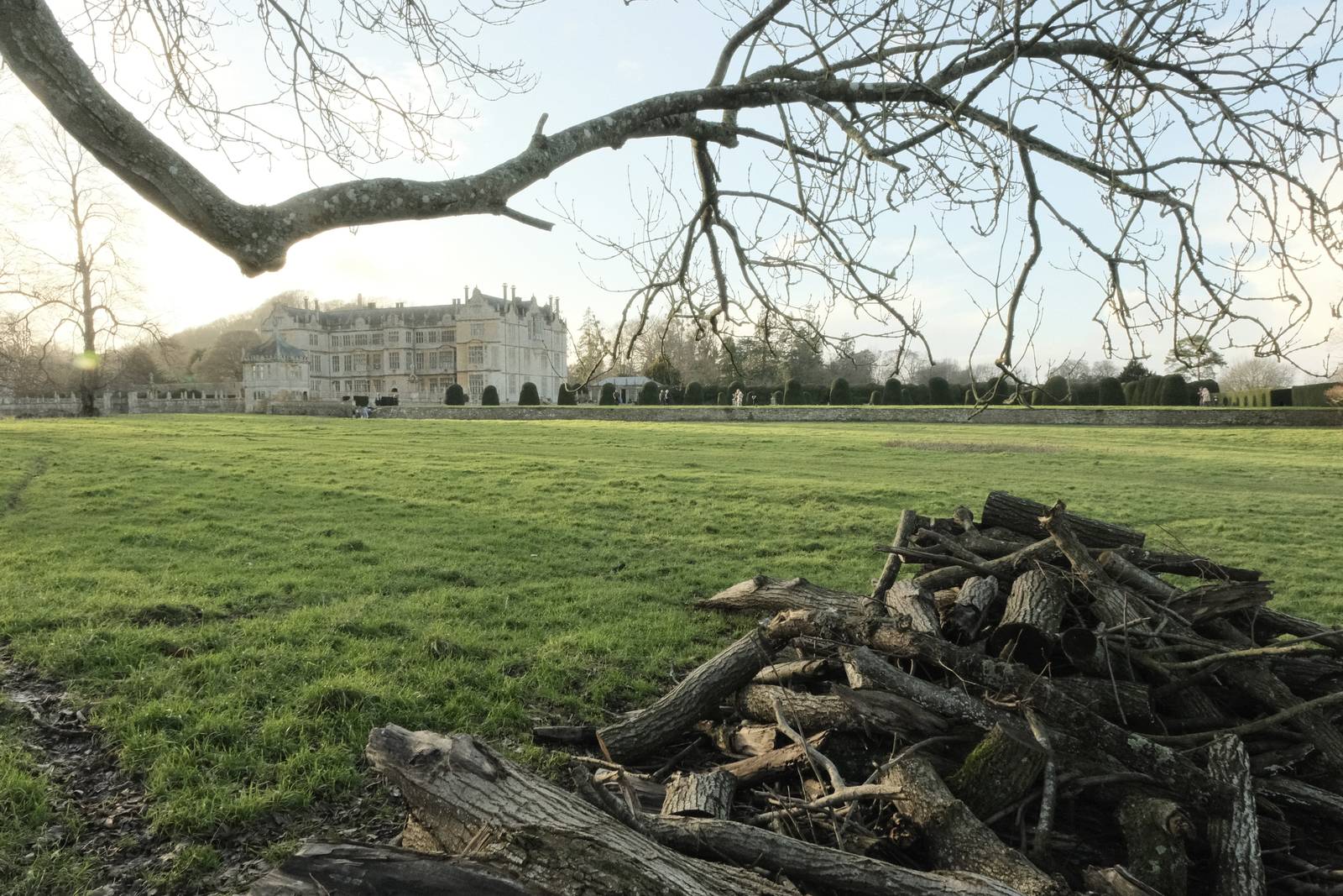 Cotswold Standard film recipe sample photo