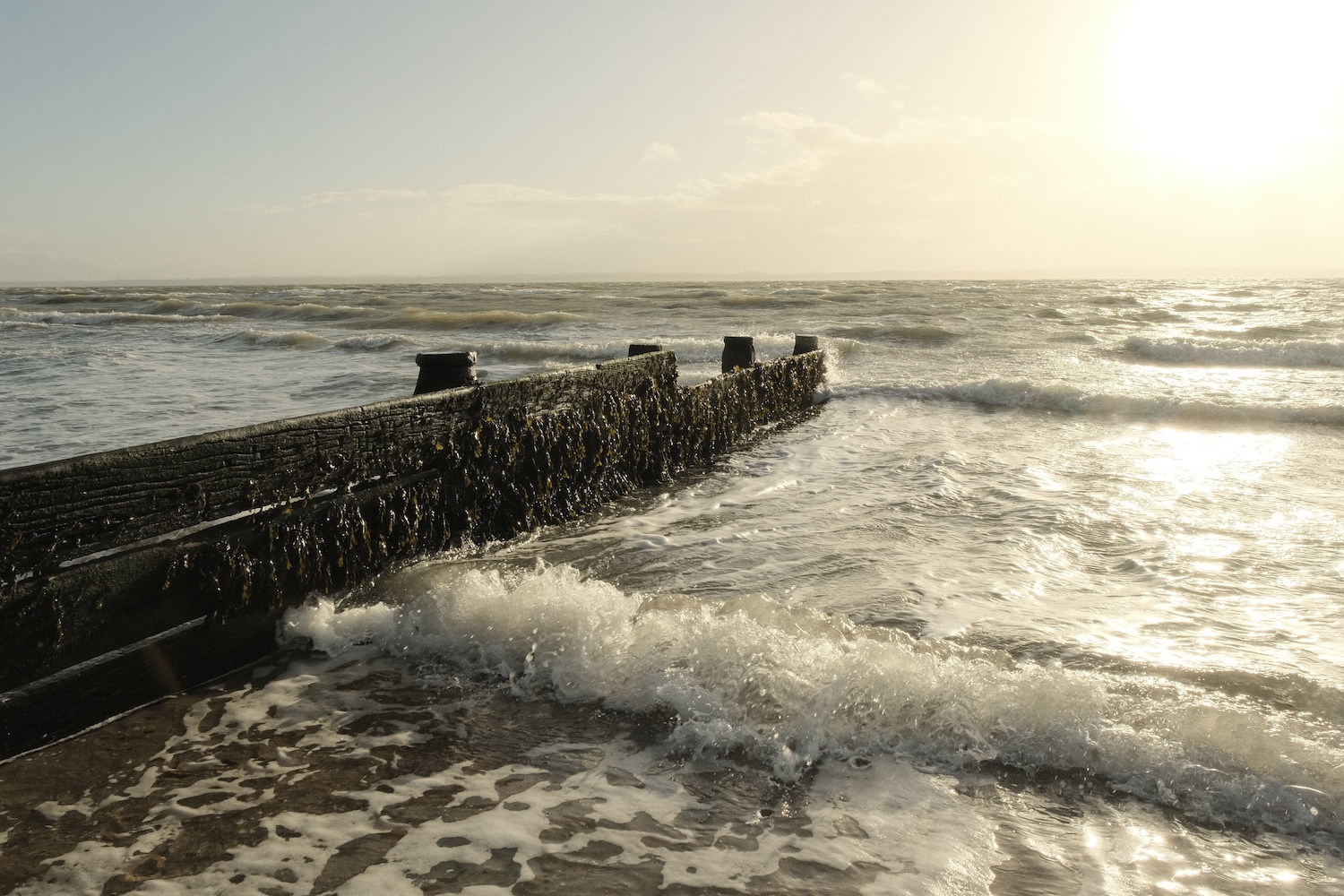 Cotswold Standard film recipe sample photo