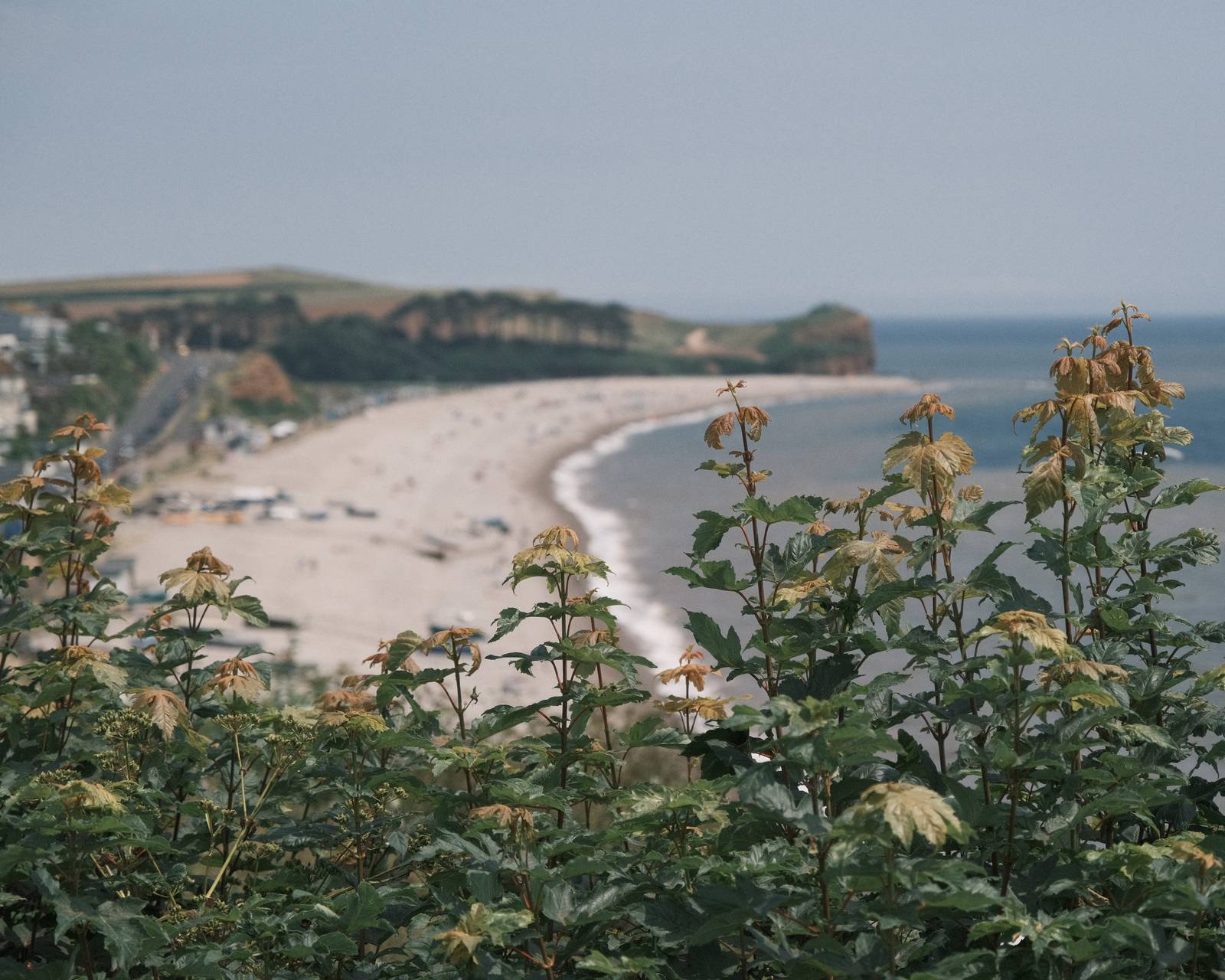 Superia Loco, Fujifilm Low Contrast Recipe