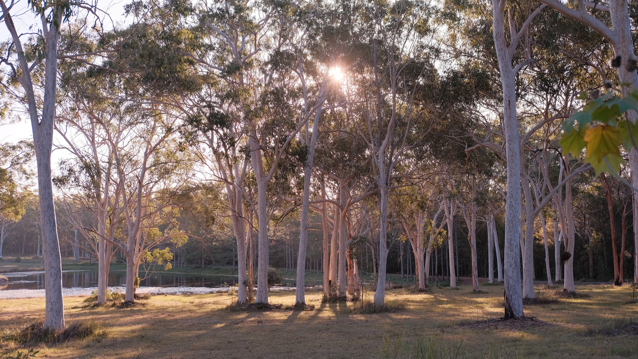 Seventies Summer film recipe photo by Darren Urda