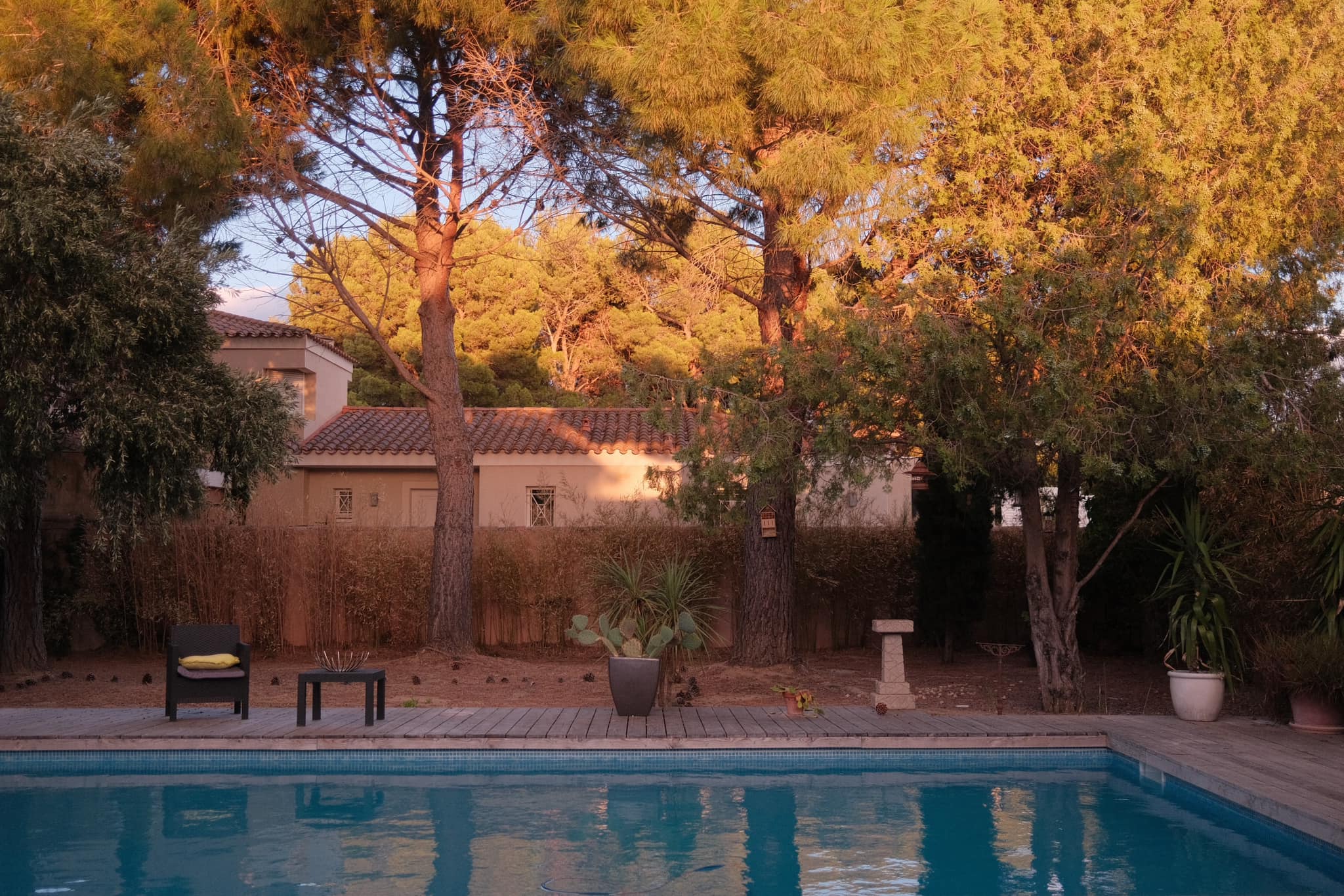 Seventies Summer film recipe photo by David Forsdike