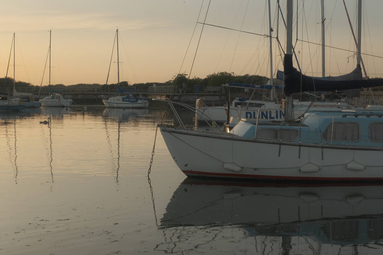 Starfield film recipe sample photo