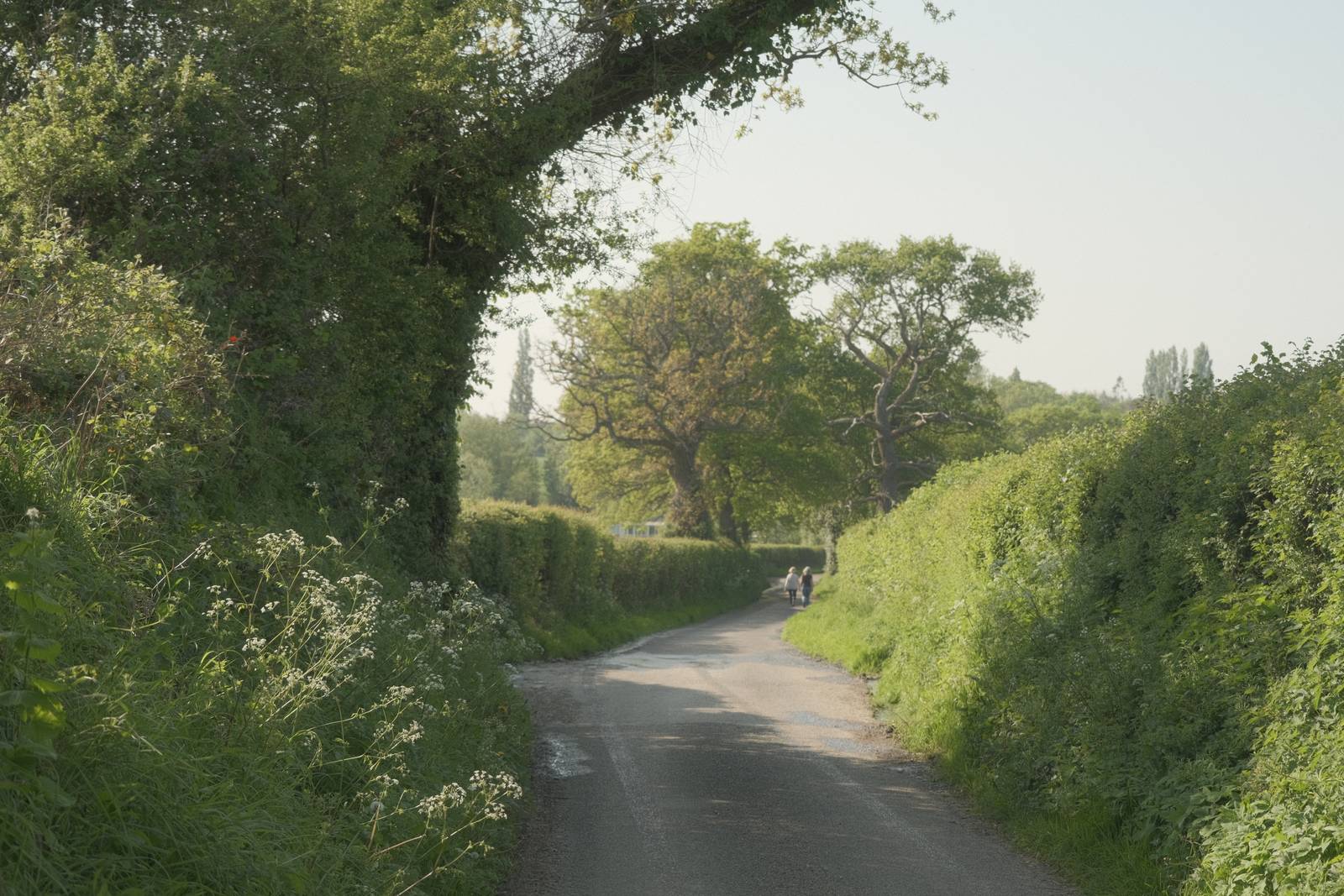 Starfield film recipe sample photo
